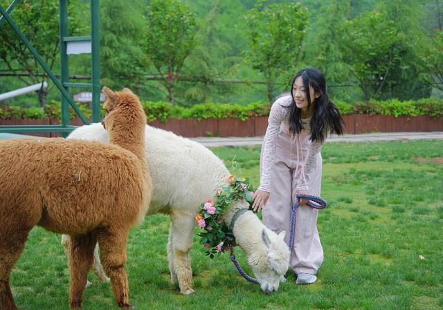 河南景区每多5000游客全员涨薪100 教师节专属福利多多