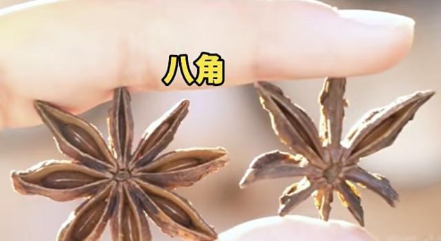 发现八角有13个角马上扔掉 警惕莽草混入