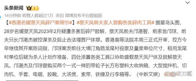 蔡天凤失踪前曾致电多人