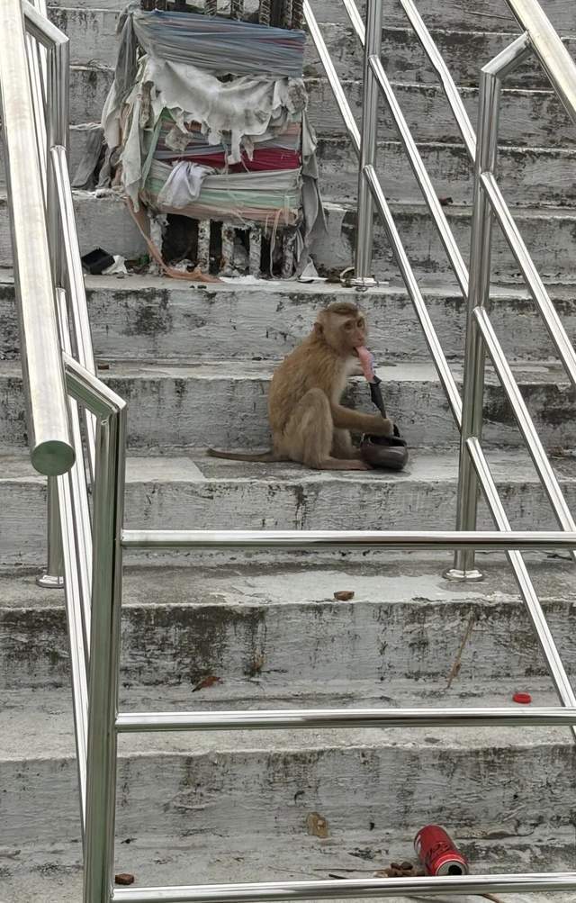 纯过日子休假：享受简单平静的幸福