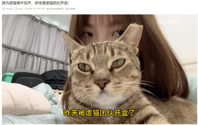 “杰克辣条虐猫”事件再升级！张馨予赵露思肖战惨遭报复