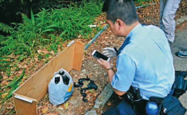香港富豪孙女被绑架案细节披露 警方揭秘破案关键