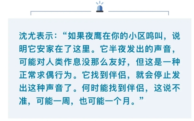 專家談成都深夜出現(xiàn)噠噠聲 夜鷹唱情歌擾民