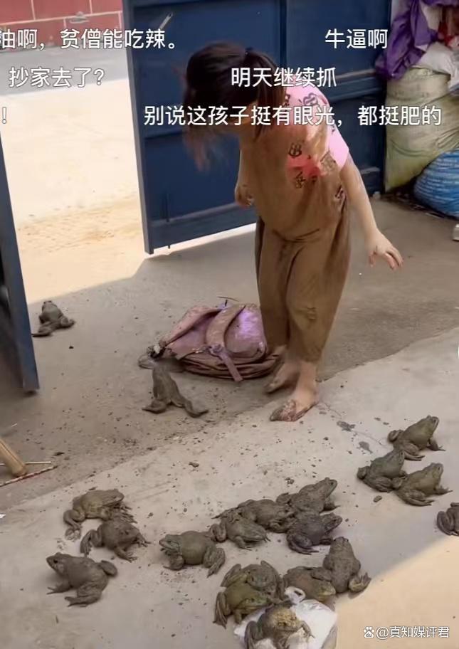 小女孩书包里装满牛蛙 “妈妈，你看，我抓了这么多牛蛙！”