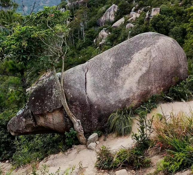 福建霞浦一景区“千年石猪”走红