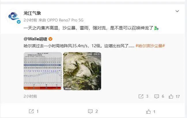 哈爾濱突發(fā)強對流天氣加罕見沙塵暴，一大樹被風(fēng)刮倒