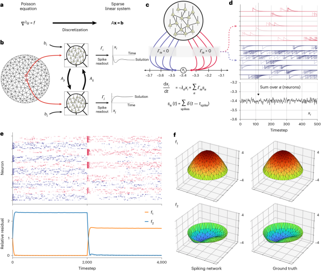 颠覆认知!Nature 子刊:类脑计算机竟是“数学天才”