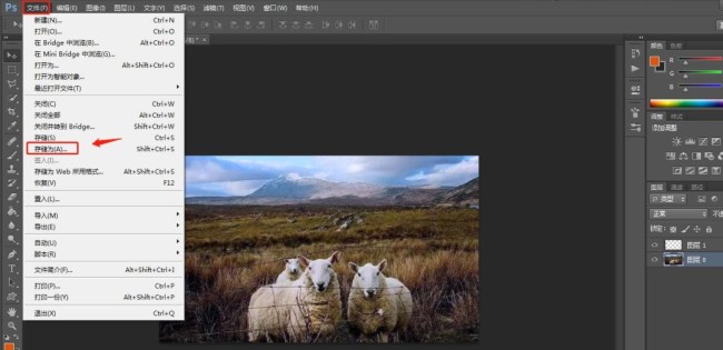 PS软件怎样设置照片冷却滤镜效果