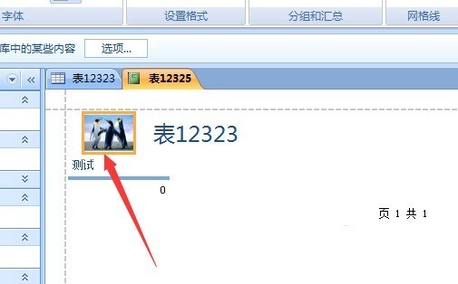 access数据库怎么修改报表微标