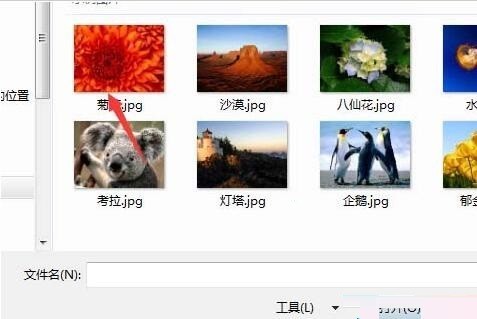 access数据库应用程序图标怎么设置