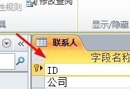 access中如何对字段进行智能标志