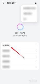 华为智慧语音如何设置固定回答