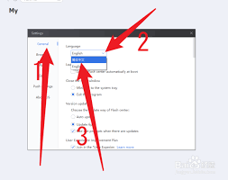 Flash中心如何设置为中文