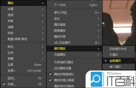 PotPlayer如何设置循环播放