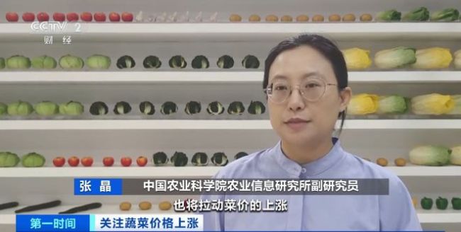 家常菜价格“不家常”？黄瓜批发价涨超40%！