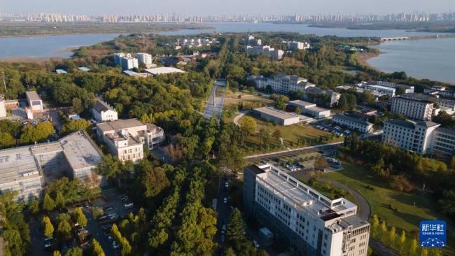 中部“黑马”，为什么又是它？