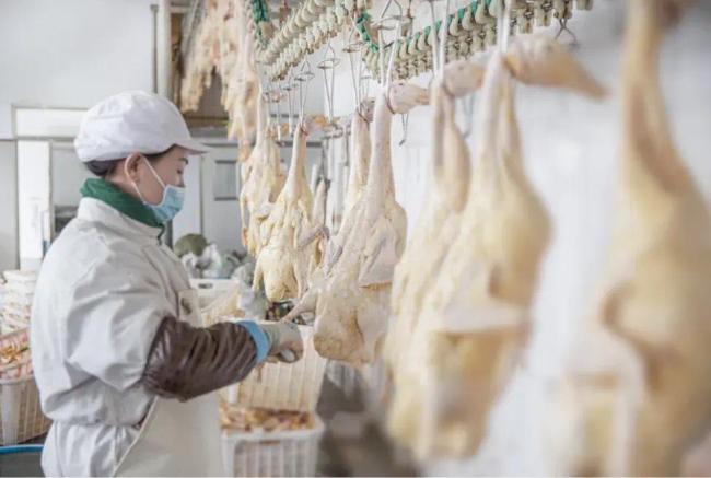 被神化的外国食材，中国都在量产了
