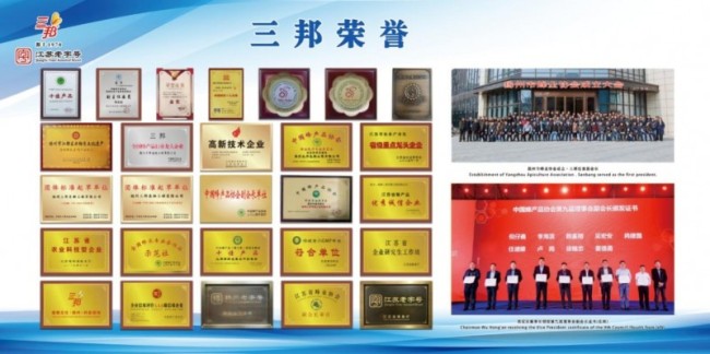 实业筑基，品牌向新：绿蜂语战略合作伙伴三邦新工厂正式奠基