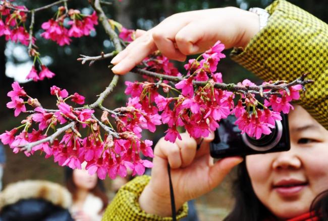 四季皆芳菲,这座城市“人间四月天”全年不打烊