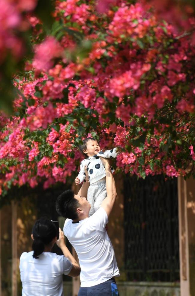 四季皆芳菲,这座城市“人间四月天”全年不打烊