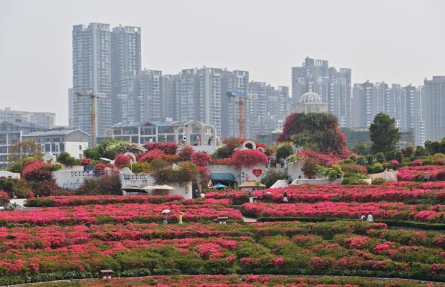 四季皆芳菲,这座城市“人间四月天”全年不打烊