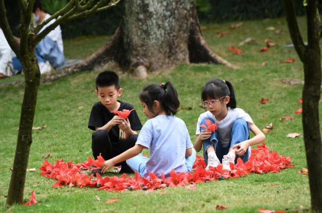 四季皆芳菲,这座城市“人间四月天”全年不打烊