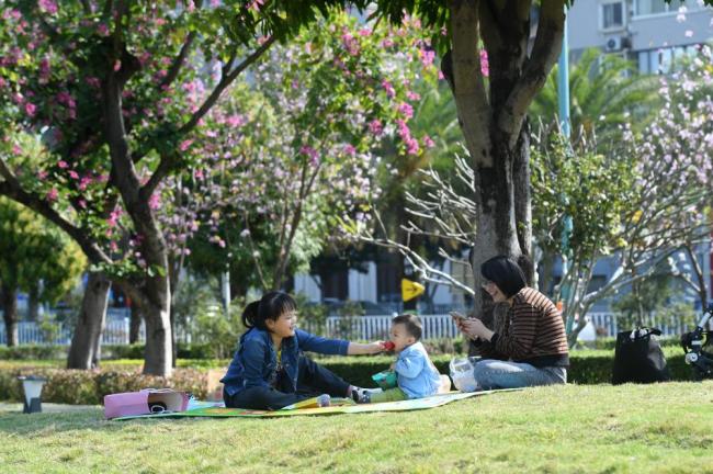 四季皆芳菲,这座城市“人间四月天”全年不打烊