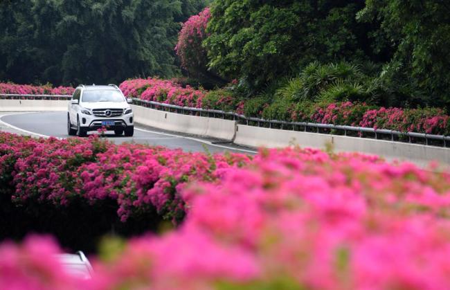四季皆芳菲,这座城市“人间四月天”全年不打烊