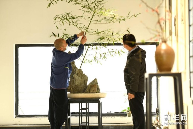 4月5日，燕赵插花艺人高伟哲（右）、赵煜在河北省石家庄市植物园插花艺术工作室创作。