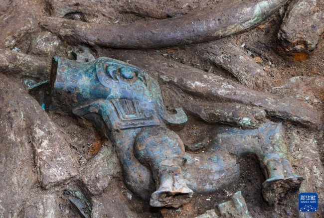 　　这是在四川德阳广汉市三星堆考古发掘现场8号“祭祀坑”拍摄的青铜神兽（9月2日摄）。新华社记者 王曦 摄