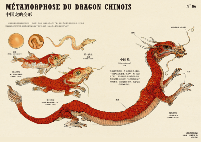 中国龙的变形(《博物学家的神秘动物图鉴》内页）