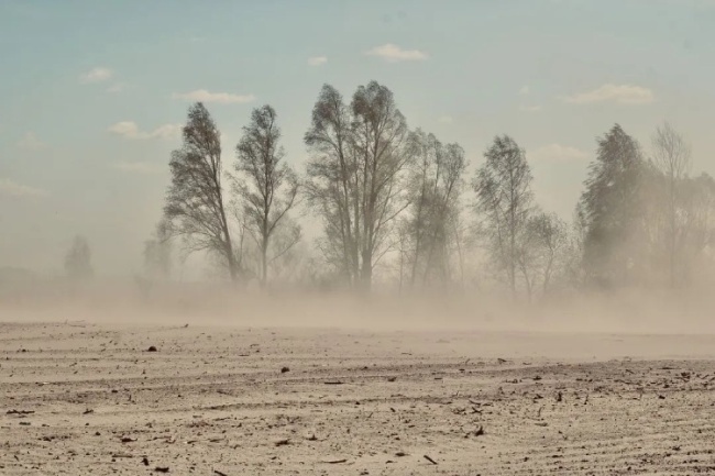 沙尘暴是地方环境恶化的一个缩影。来源/pixabay