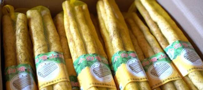 文旅安平丨你好，我是安平县，这是我的凡尔赛式新简历！