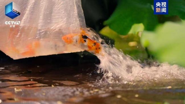 许多年，许多人，许多事！因为故宫·《百年守护》