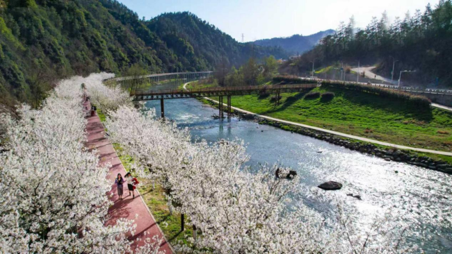 湖北郧西县城关镇：文旅农融合“闪金光”