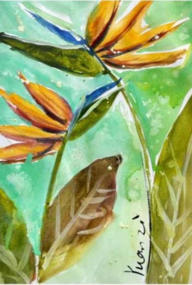 种下一颗科学的种子