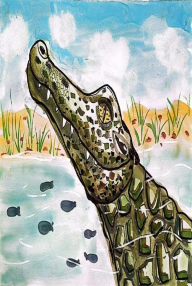 我的往日科技梦