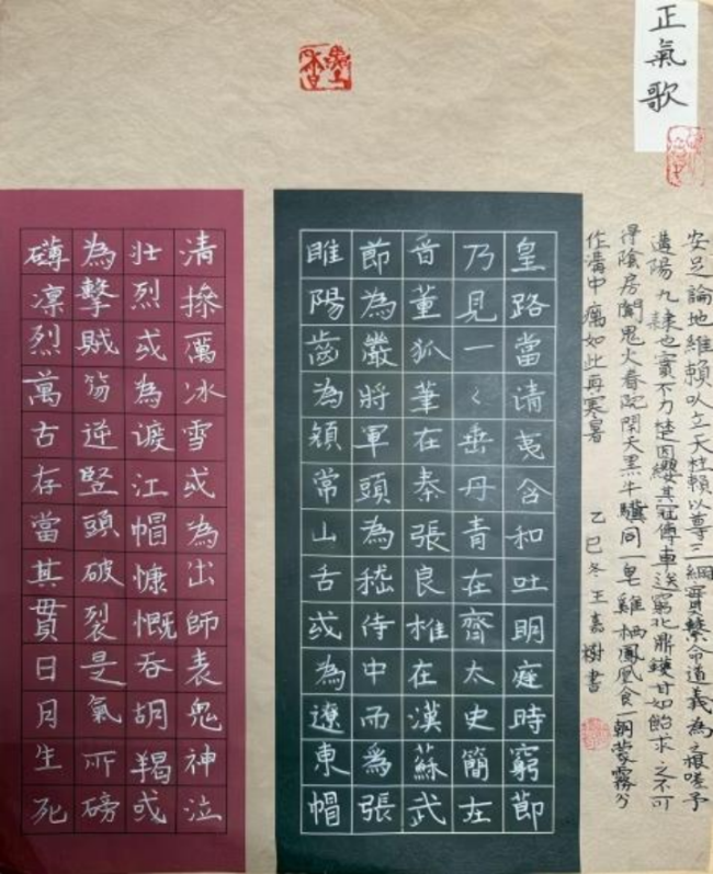 科技之光，童心忽闪