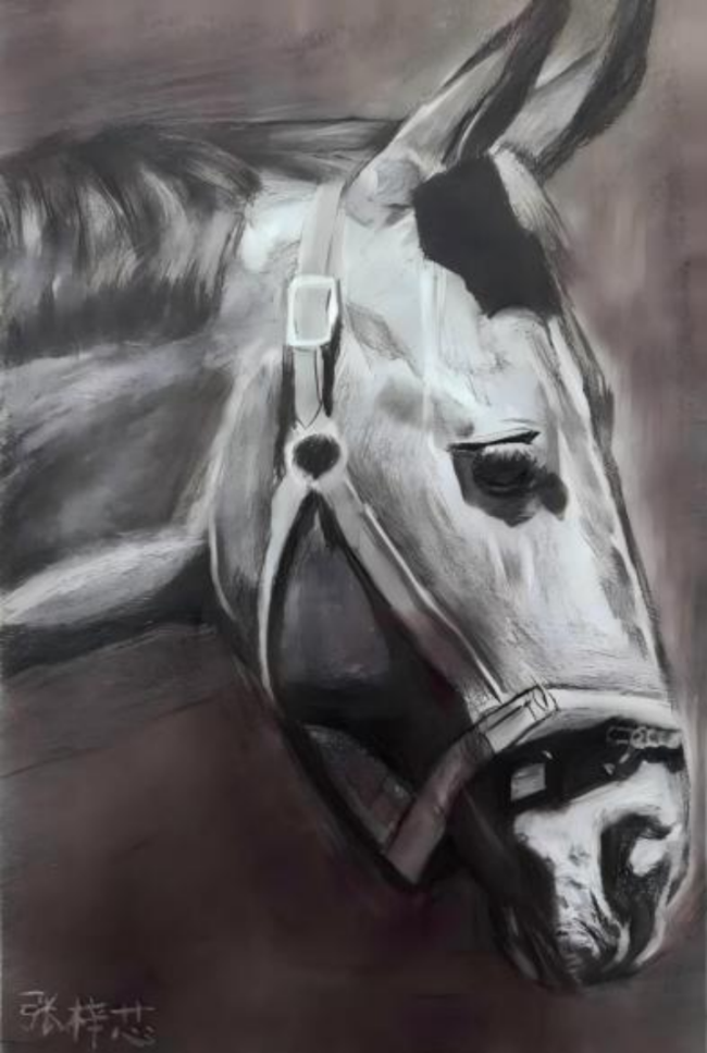 种下一颗科学的种子