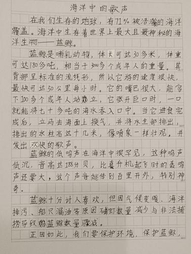 我的奇想妙想札记本