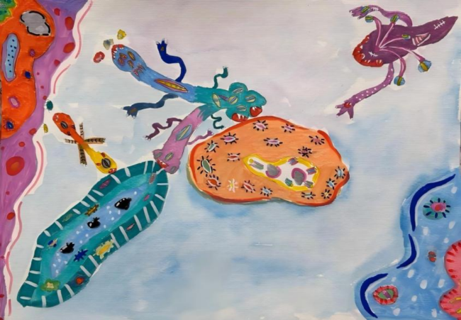 奇思妙想展览会