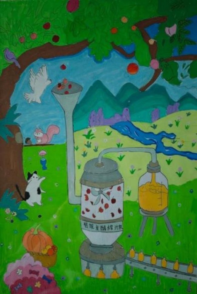 奇思妙想展览会