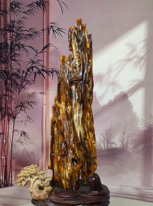 【中华名石典藏】听海观音（树化玉·植物舍利子宝石）