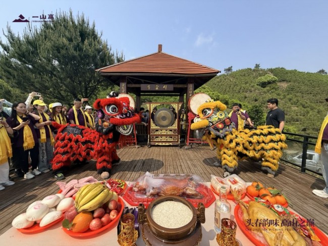 一山高第二届春茶文化节圆满举办 以茶为媒赋能品牌发展，传递单丛文化魅力