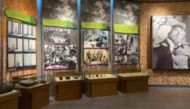 山水铁力·康养福地——黑龙江铁力欢迎您   