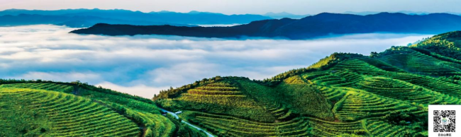 来双牌，赴一场山水之约，遇见四季皆景的人间秘境