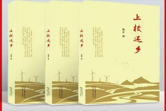《上校还乡》：一部描绘退役军人乡村振兴之路的深耕力作