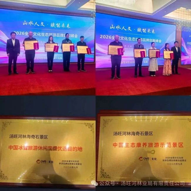 汤旺河林业局公司带队亮相全国文化生态旅游品牌创新峰会面向全国文旅市场精准推介
