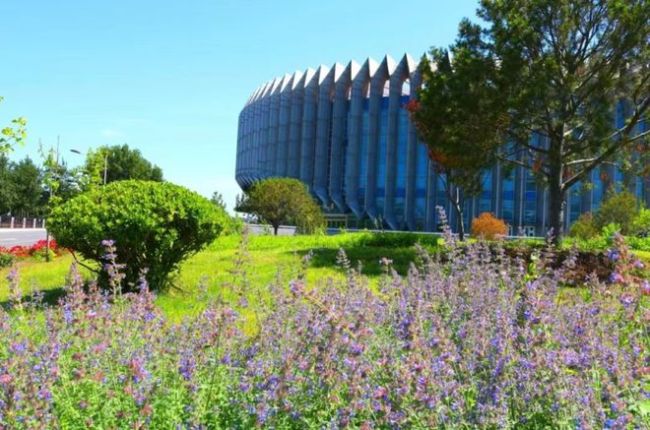 16所军校的春景！