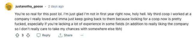 加拿大中国留学生崩溃：均分98%投700封简历无果！